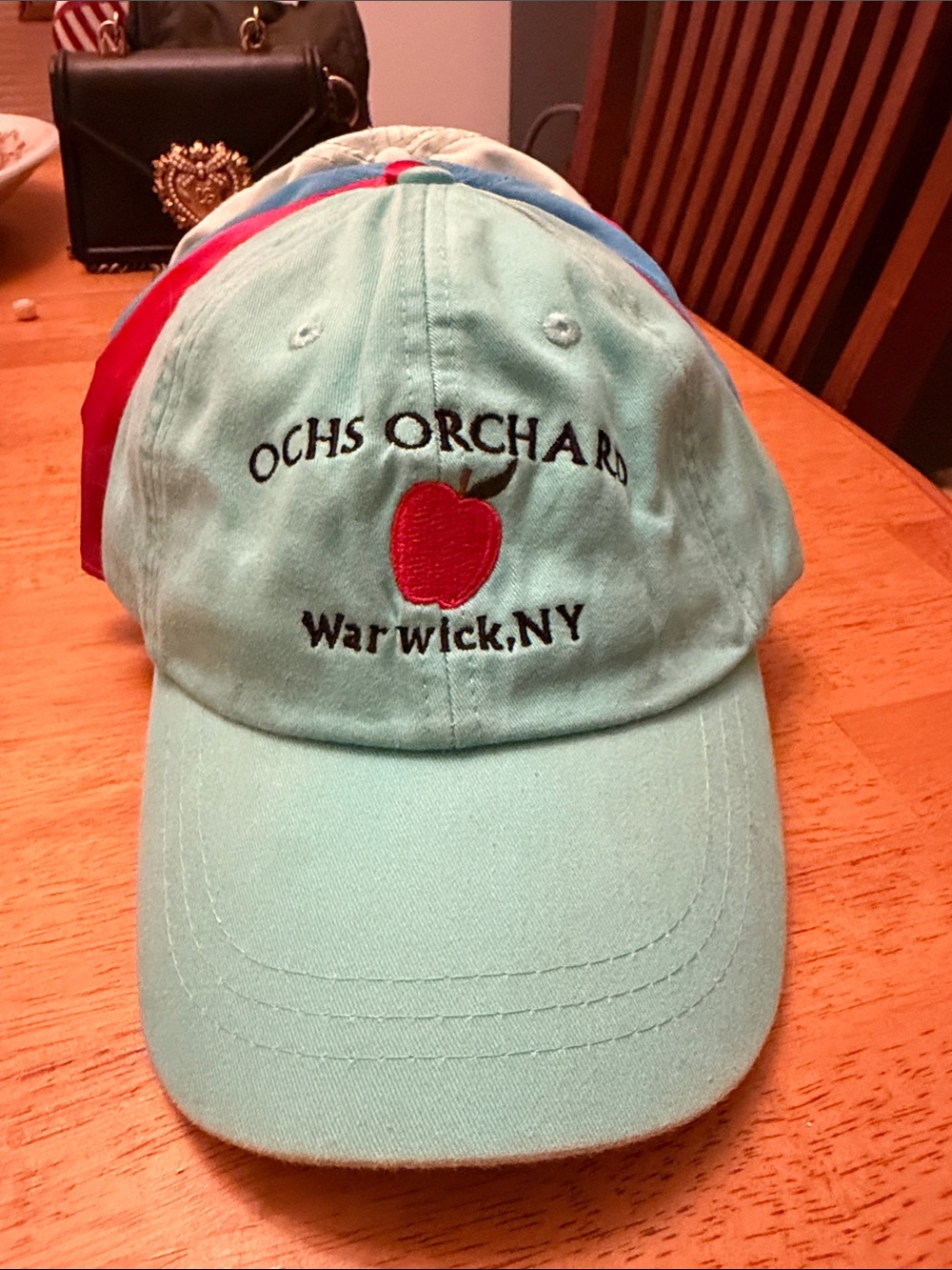 Warwick NY Embroidered Apple Baseball Cap - Mint